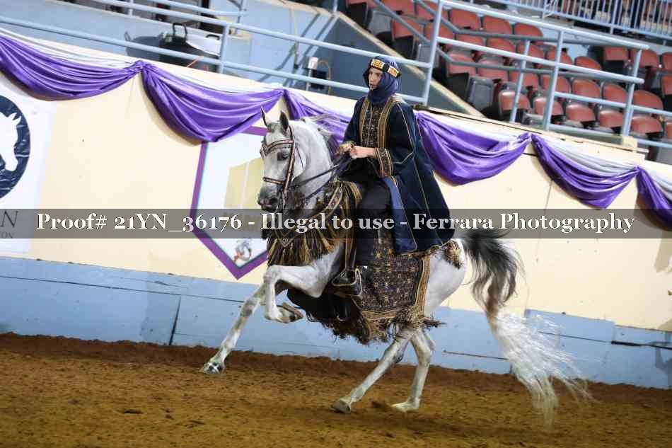 Proof 21YN_36176