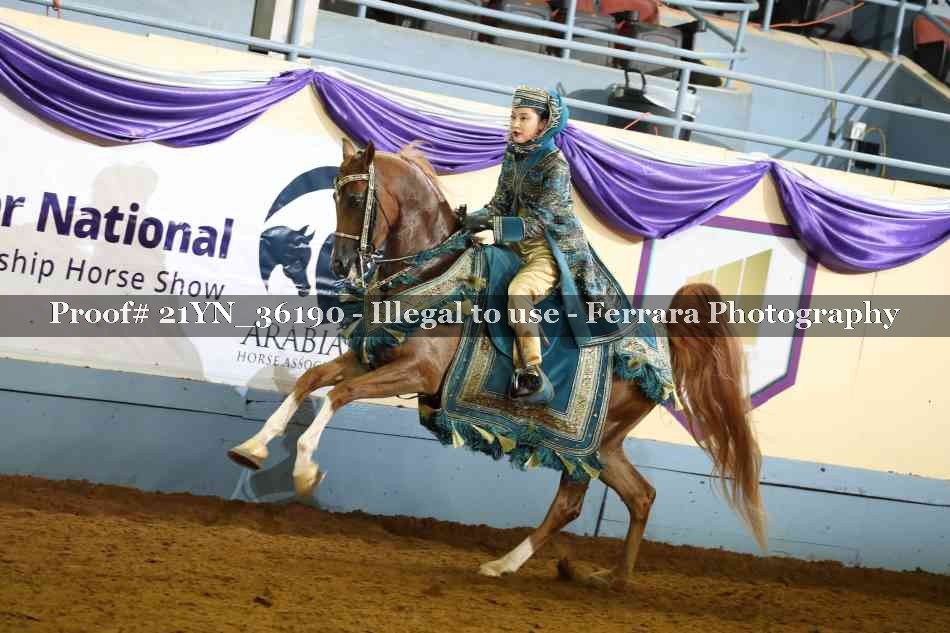 Proof 21YN_36190