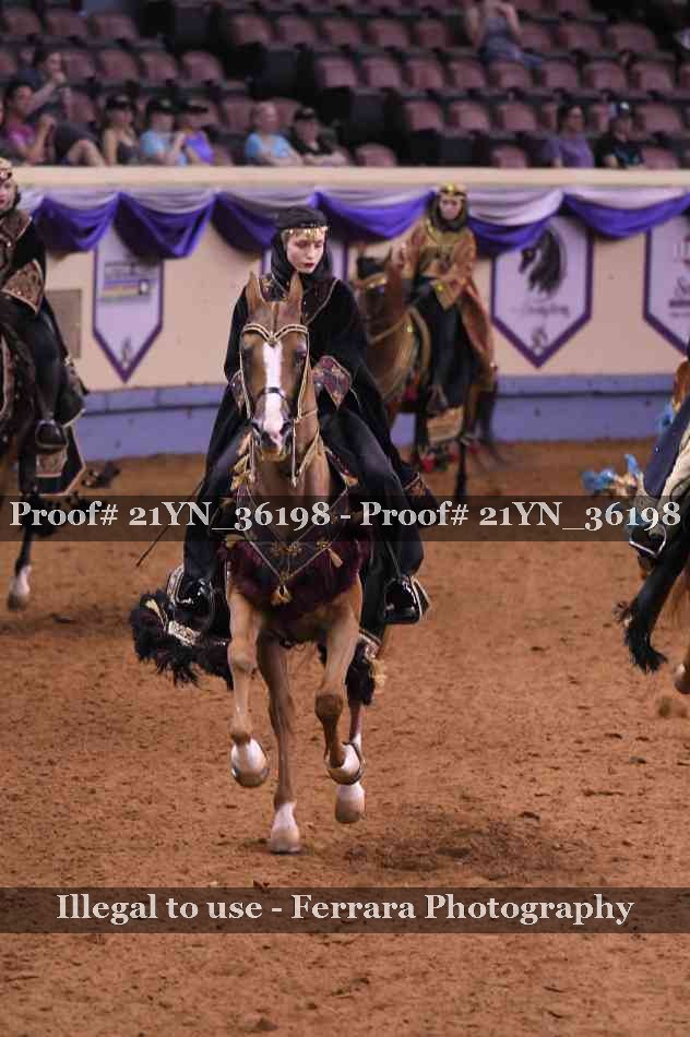 Proof 21YN_36198