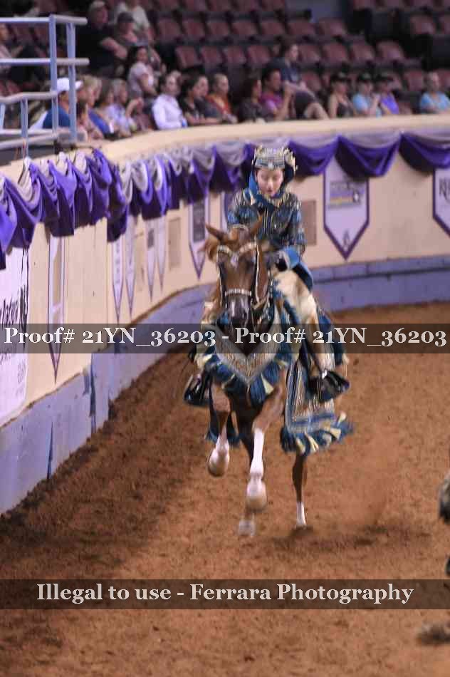 Proof 21YN_36203