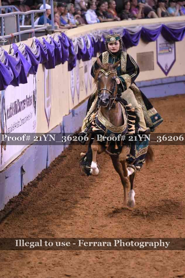 Proof 21YN_36206