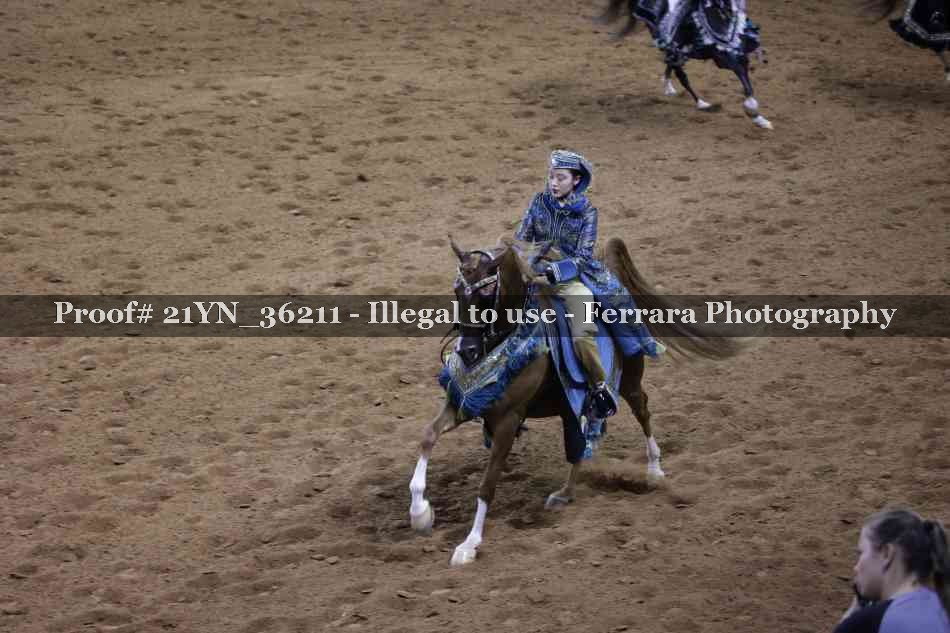 Proof 21YN_36211