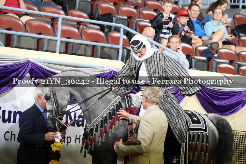 Proof 21YN_36242