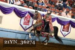 21YN_36274 proof