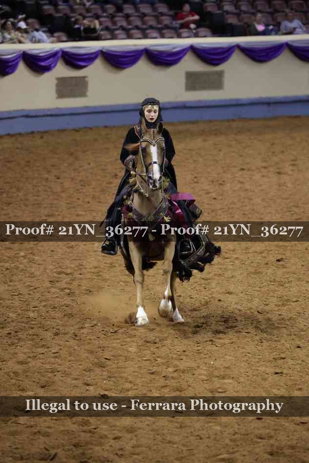 Proof 21YN_36277