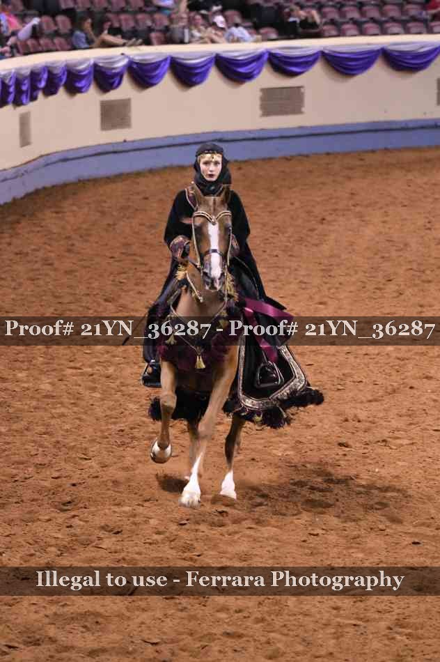 Proof 21YN_36287