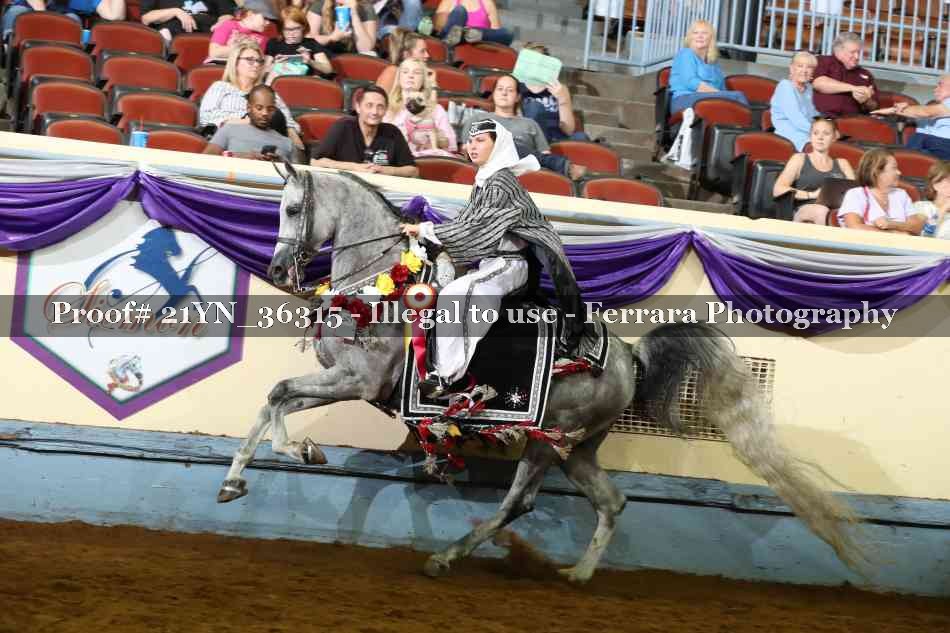 Proof 21YN_36315