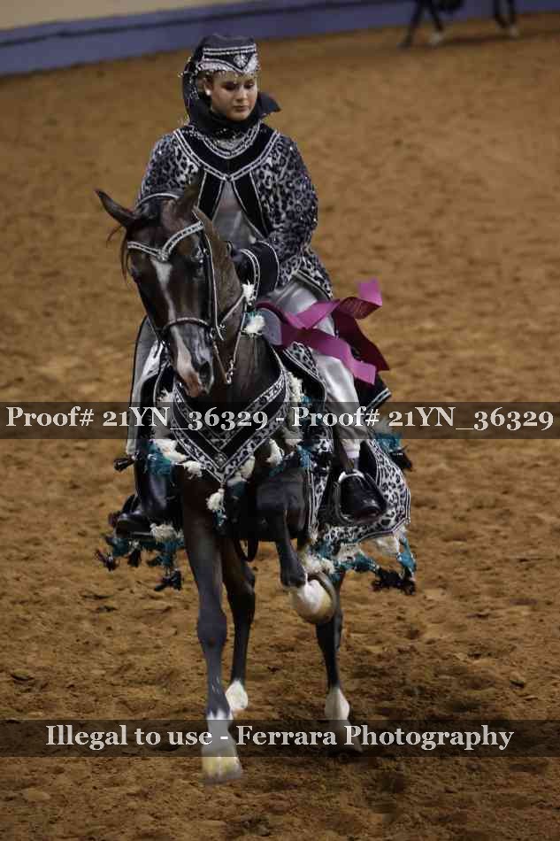 Proof 21YN_36329