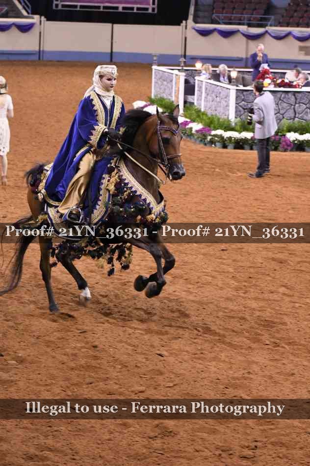 Proof 21YN_36331