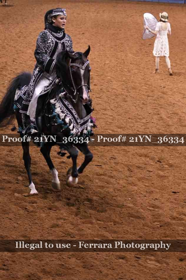 Proof 21YN_36334