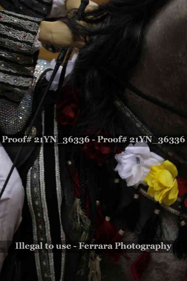 Proof 21YN_36336