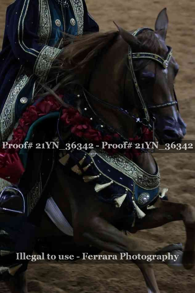 Proof 21YN_36342