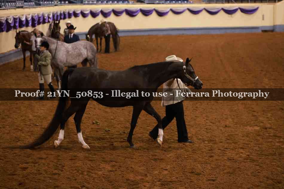 Proof 21YN_50853