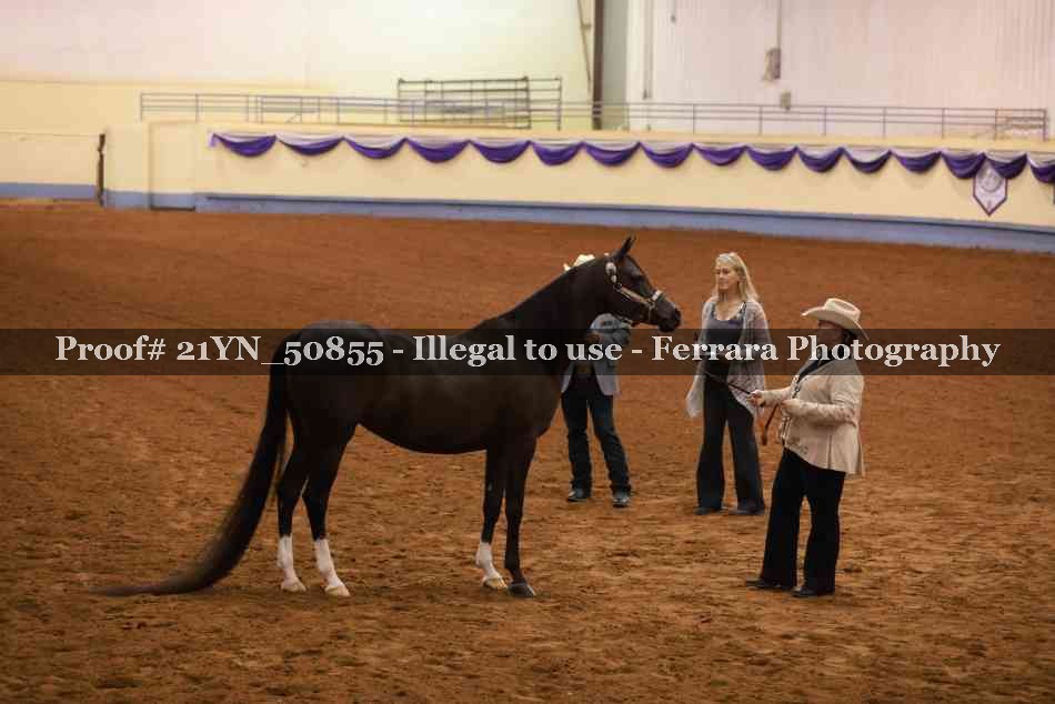 Proof 21YN_50855