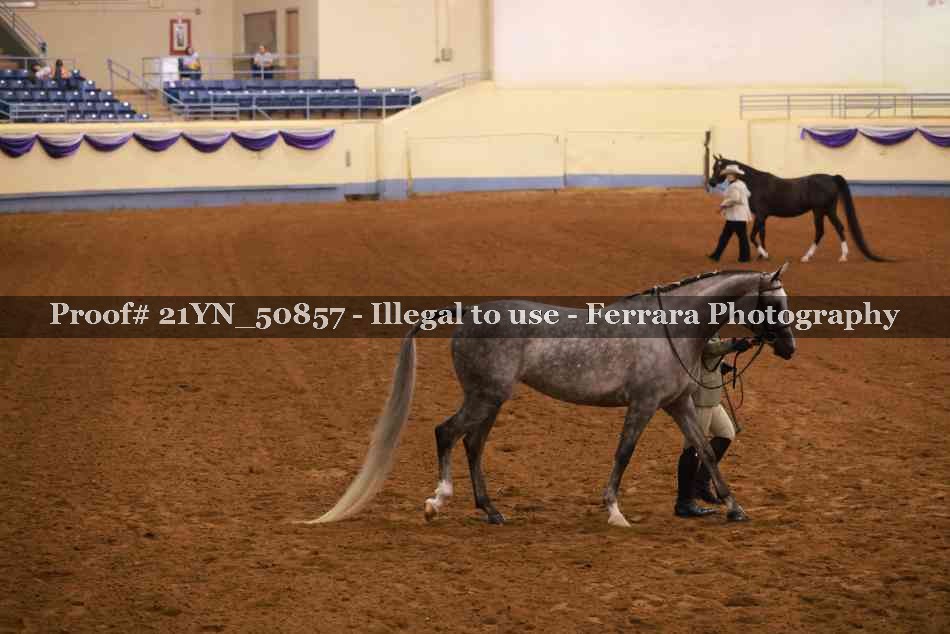 Proof 21YN_50857