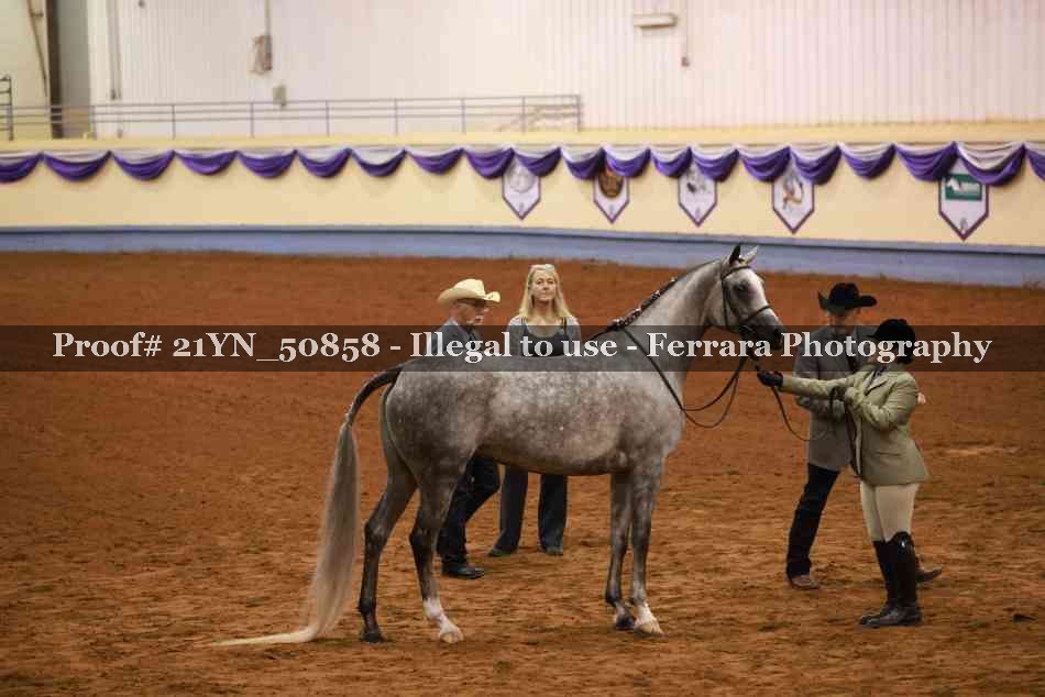 Proof 21YN_50858