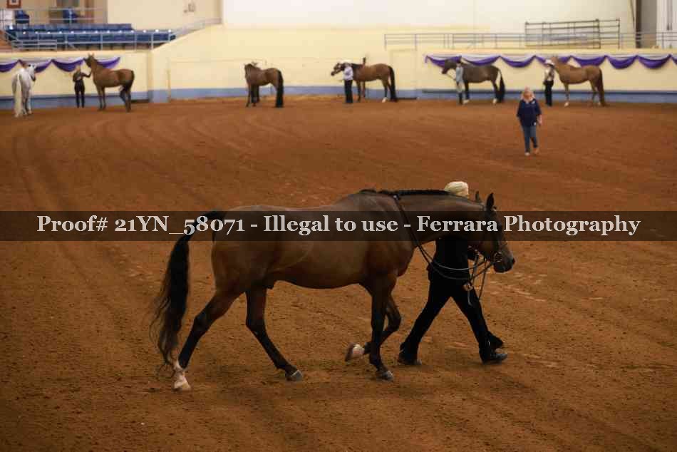 Proof 21YN_58071