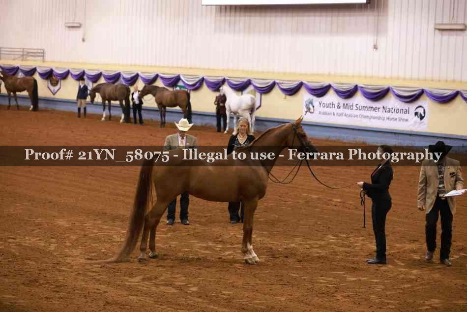 Proof 21YN_58075