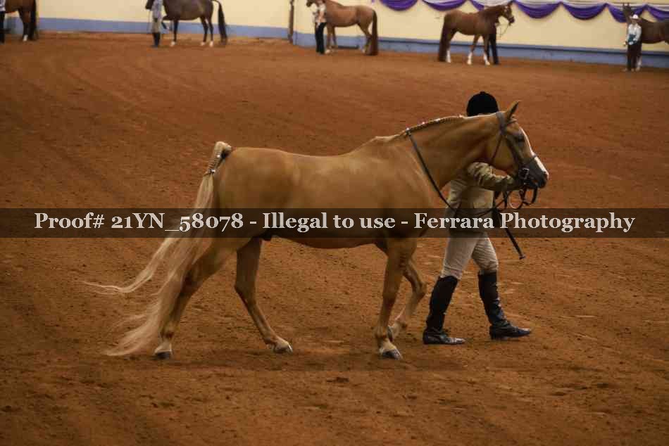 Proof 21YN_58078