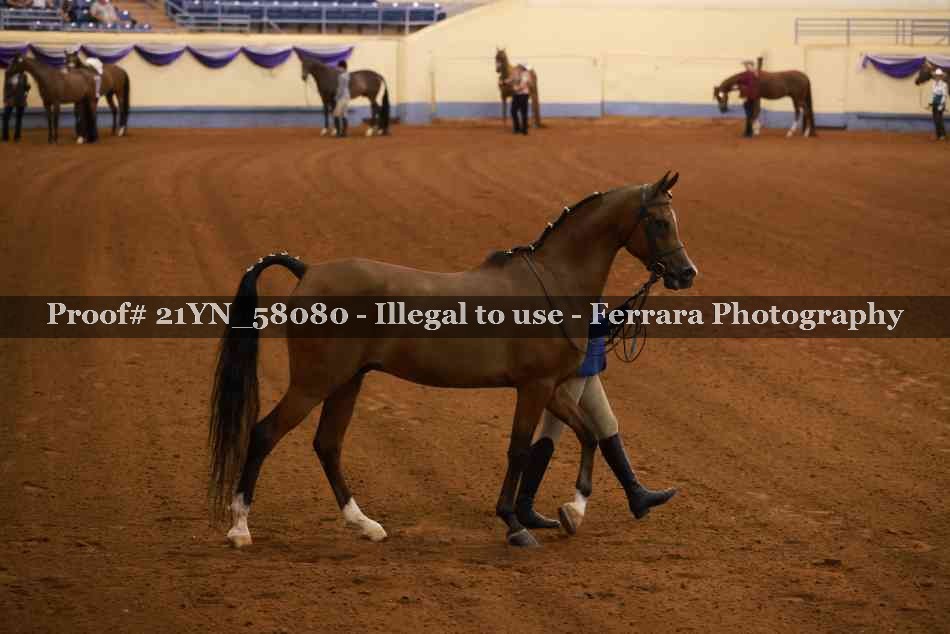 Proof 21YN_58080