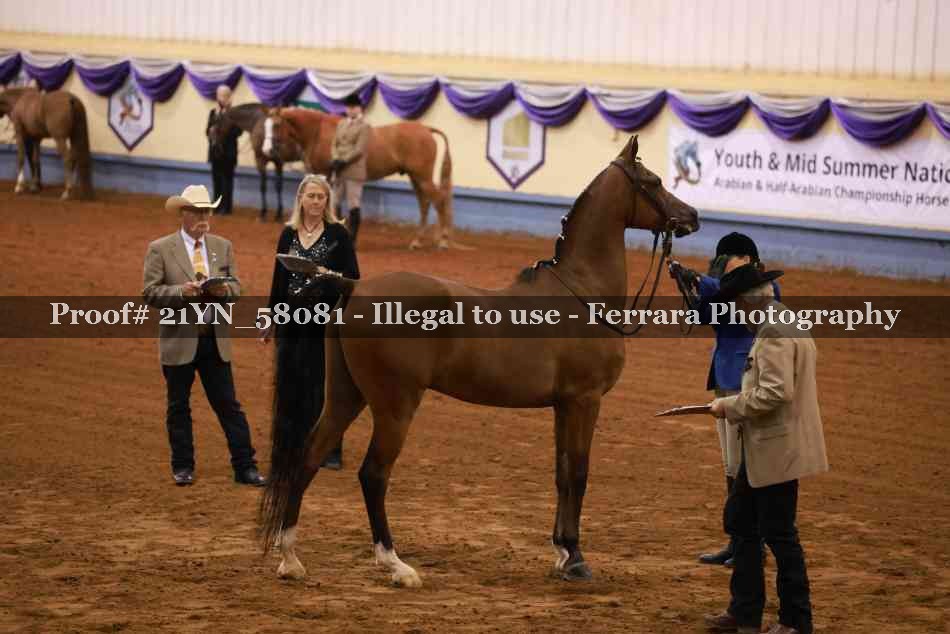 Proof 21YN_58081