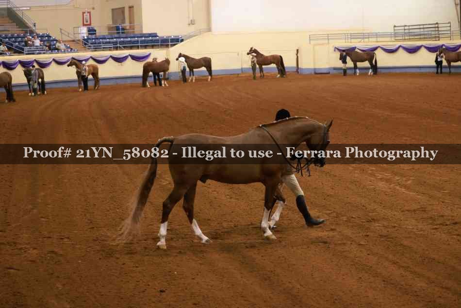Proof 21YN_58082