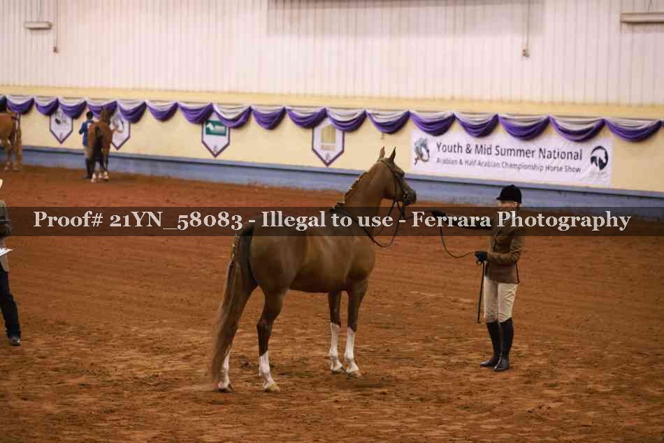 Proof 21YN_58083