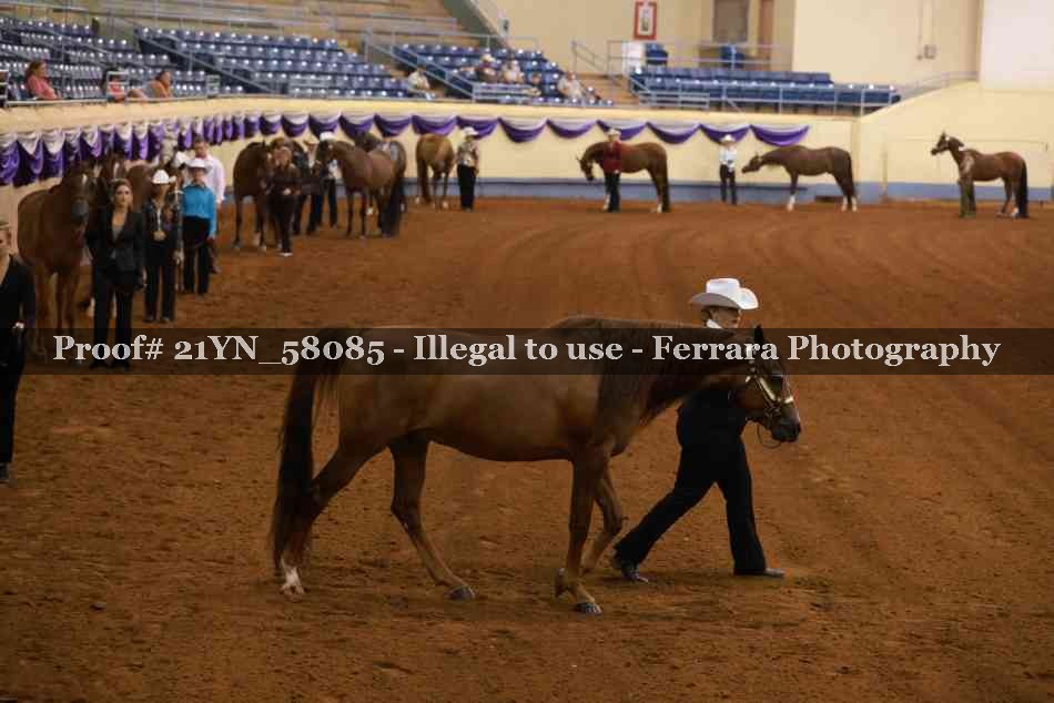 Proof 21YN_58085