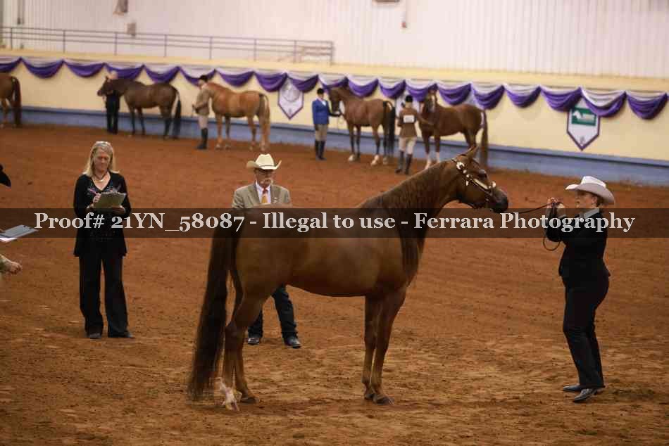 Proof 21YN_58087