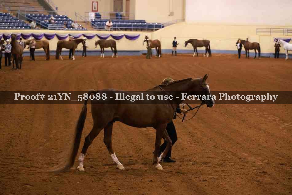 Proof 21YN_58088