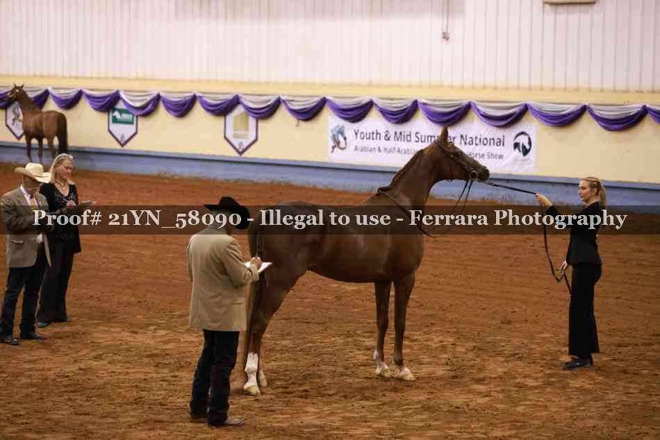 Proof 21YN_58090