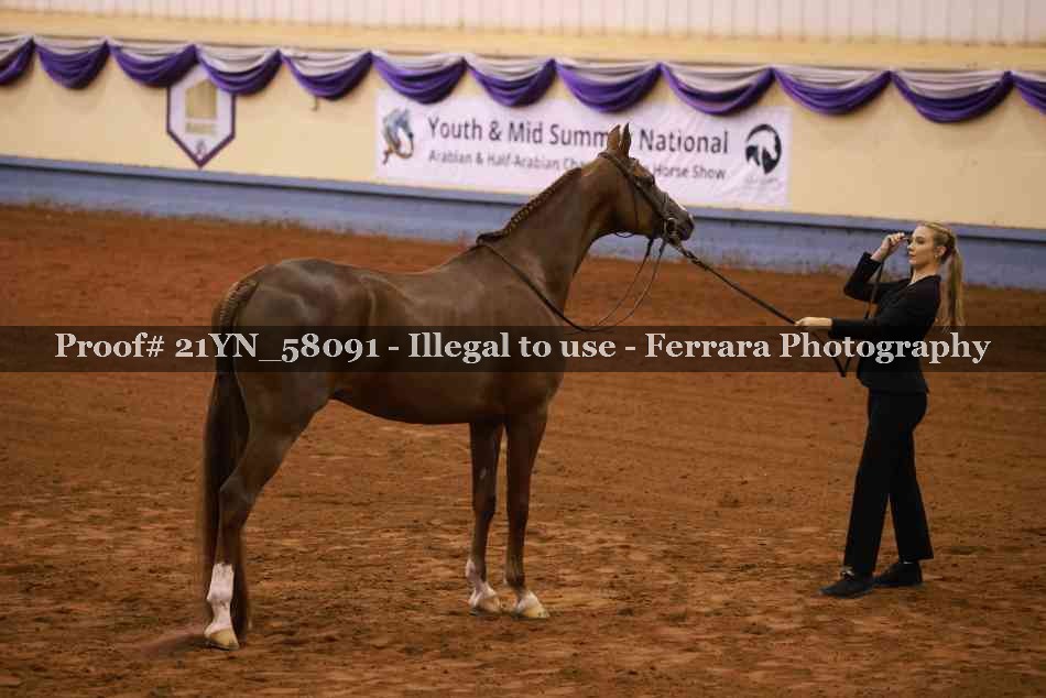 Proof 21YN_58091