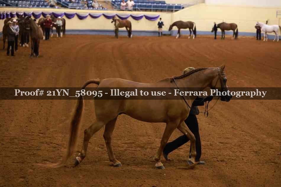 Proof 21YN_58095