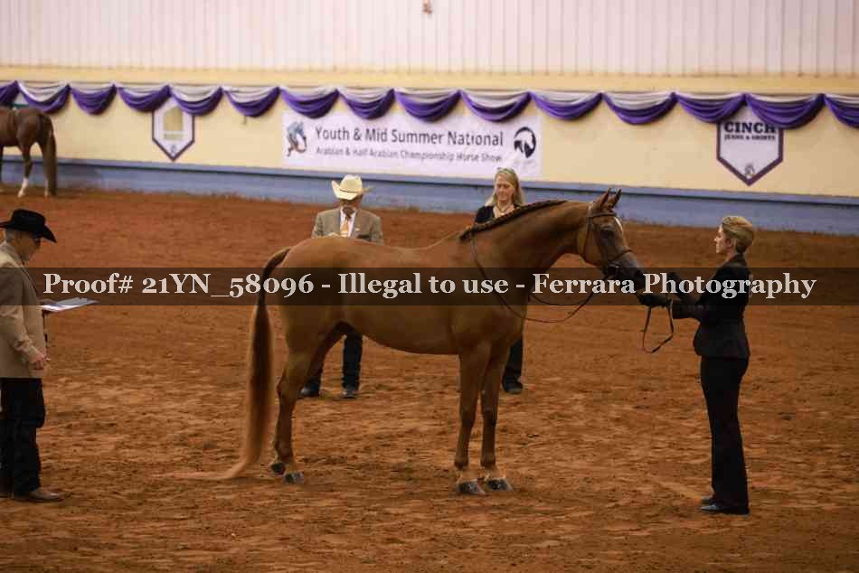 Proof 21YN_58096