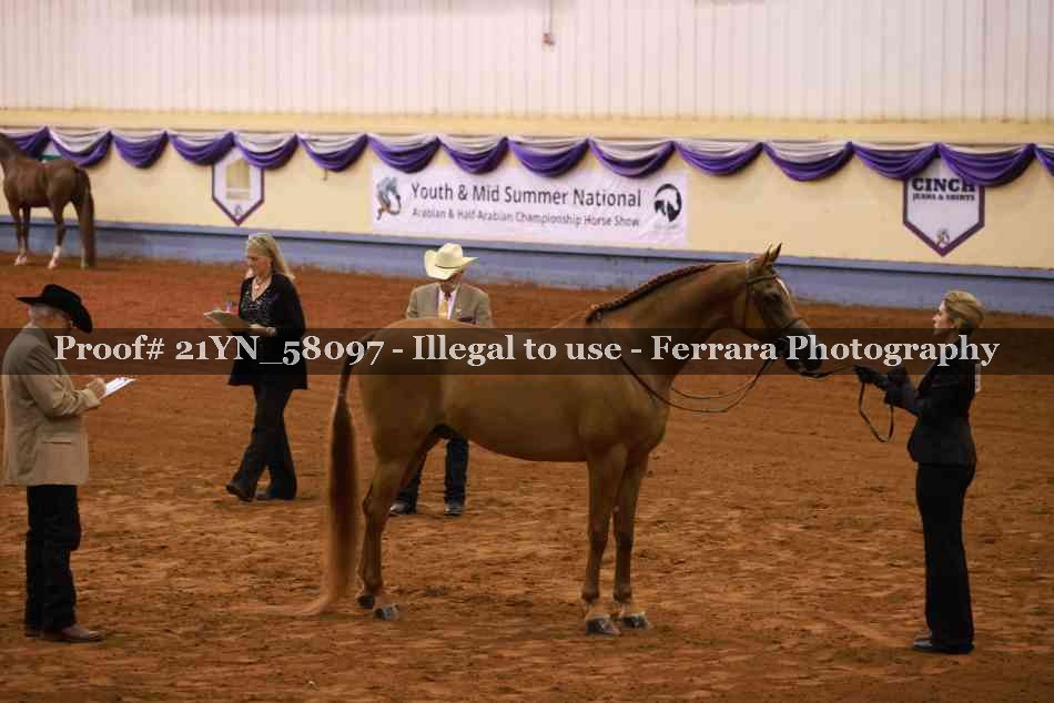 Proof 21YN_58097