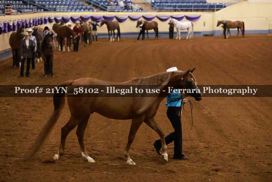 Proof 21YN_58102