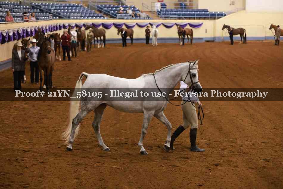 Proof 21YN_58105