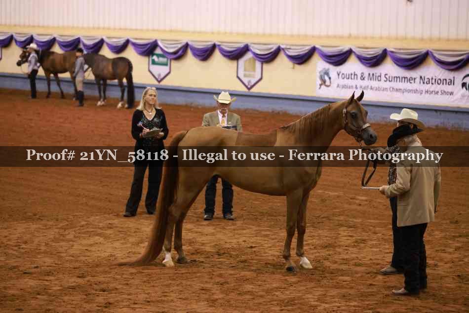 Proof 21YN_58118