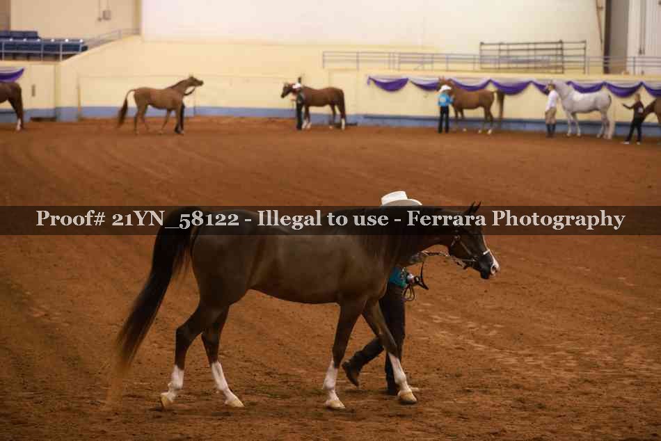 Proof 21YN_58122