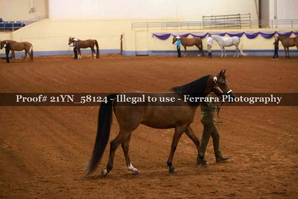 Proof 21YN_58124