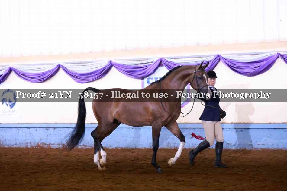 Proof 21YN_58157
