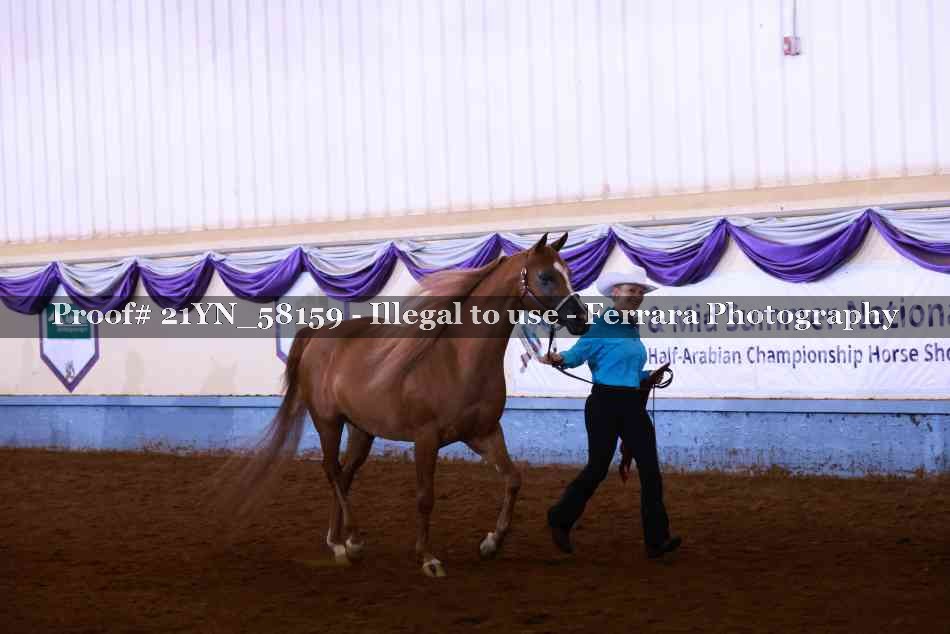 Proof 21YN_58159