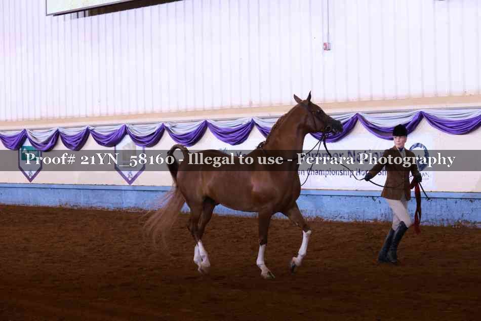 Proof 21YN_58160