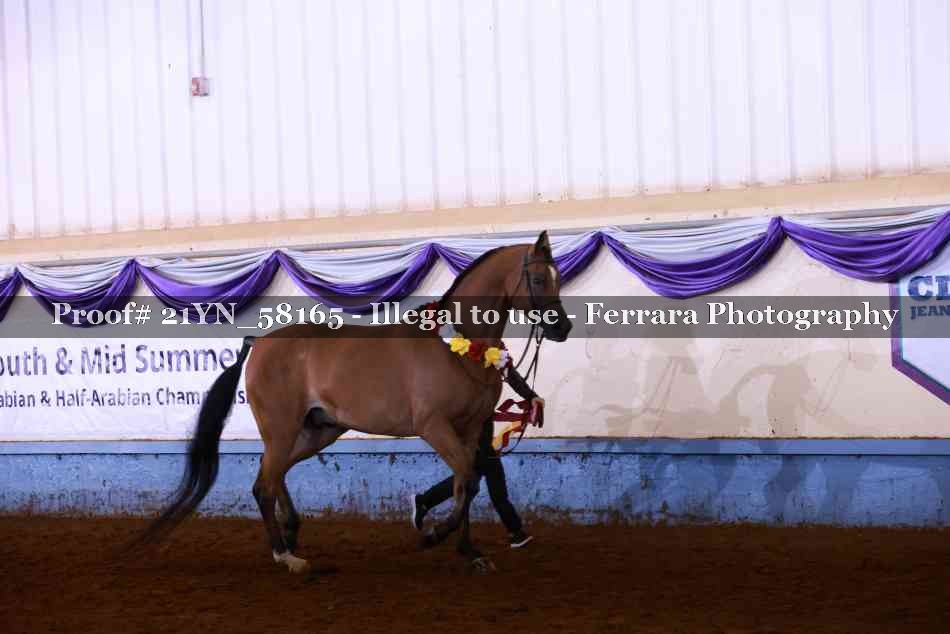 Proof 21YN_58165