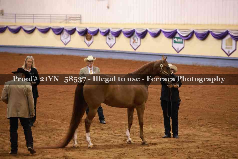 Proof 21YN_58537