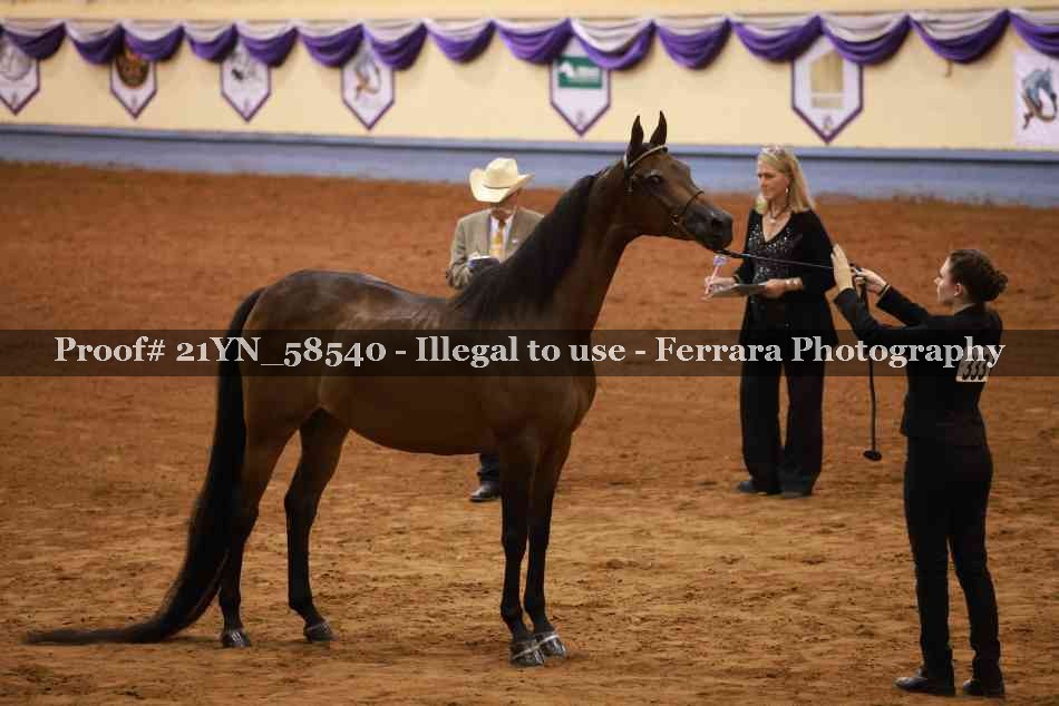 Proof 21YN_58540