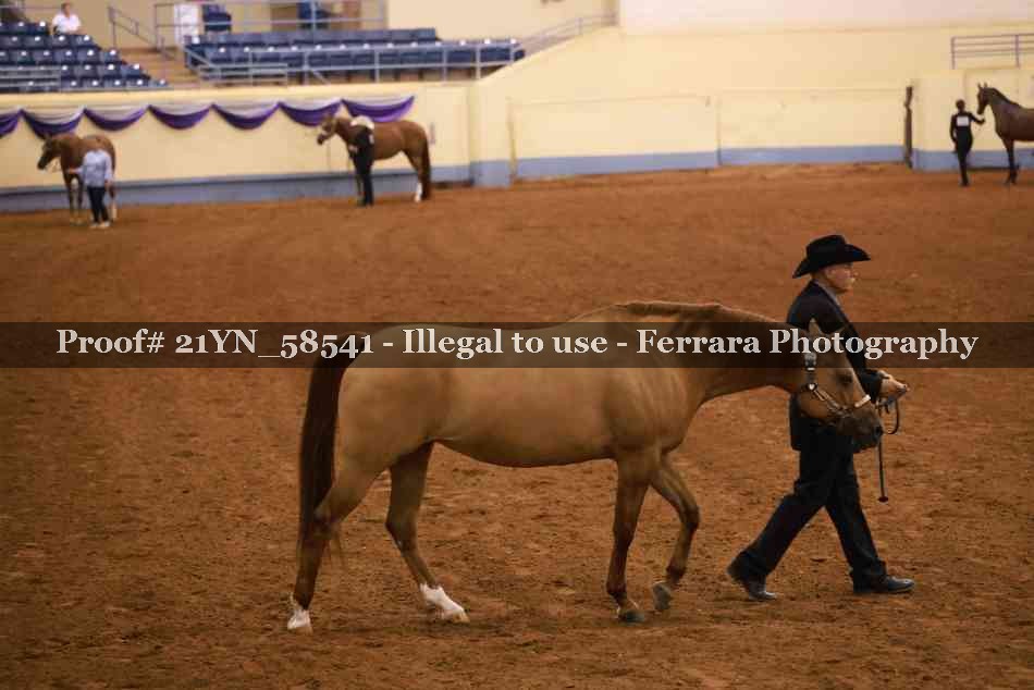 Proof 21YN_58541