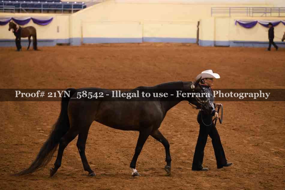 Proof 21YN_58542