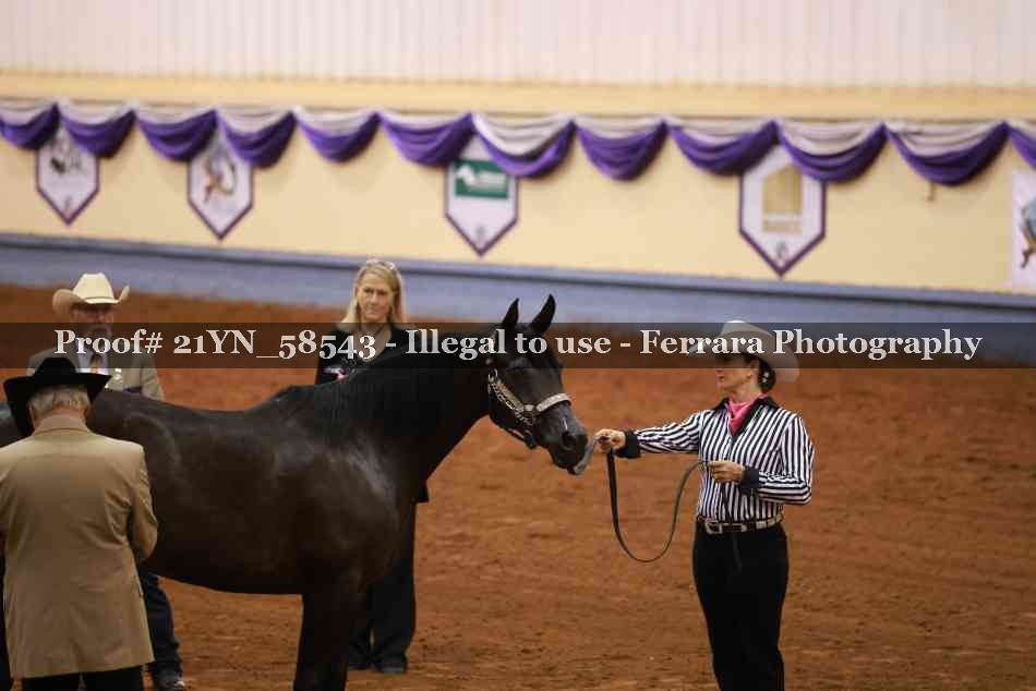 Proof 21YN_58543