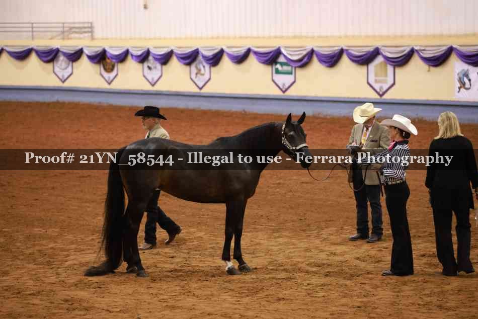 Proof 21YN_58544